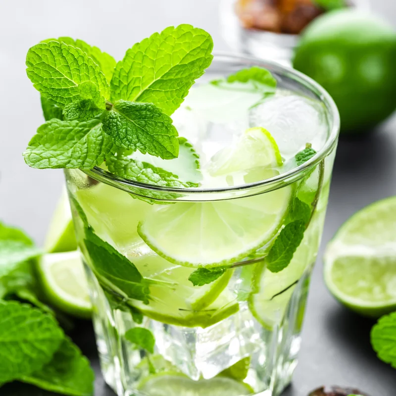 Mojito cubano refrescante con ron, hierbabuena fresca y limón en Que Delicious